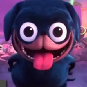 Meet your Posher, Stella